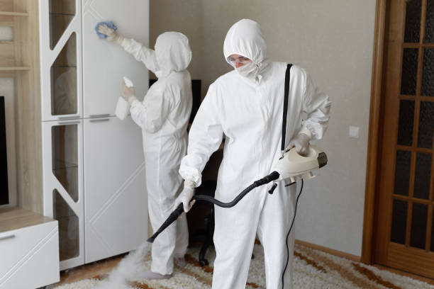 Best Residential Mold Removal  in Vega, TX